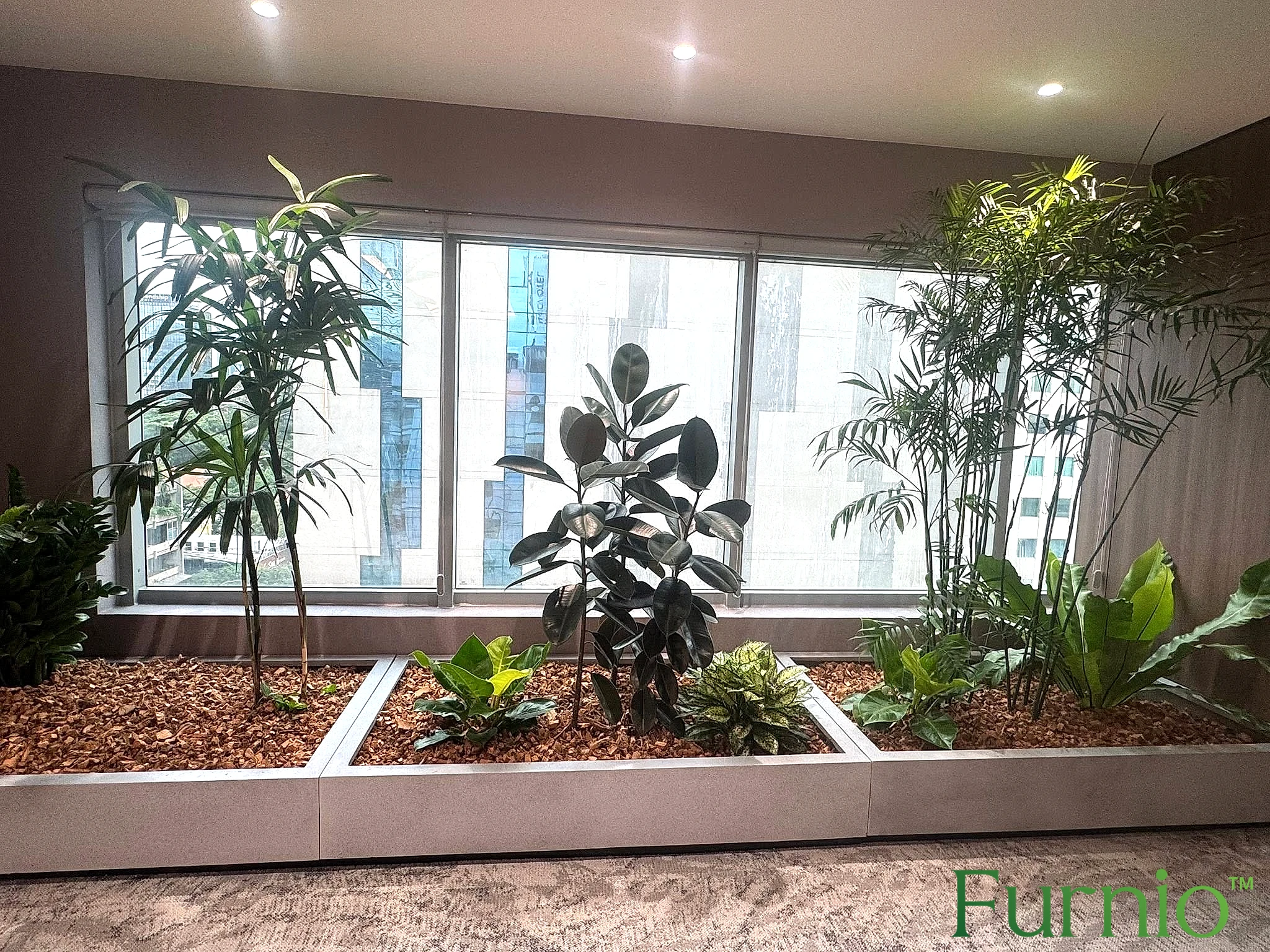Bồn chậu composite Furnio liền tường trồng cây xanh bên cửa sổ tại công trình khách hàng