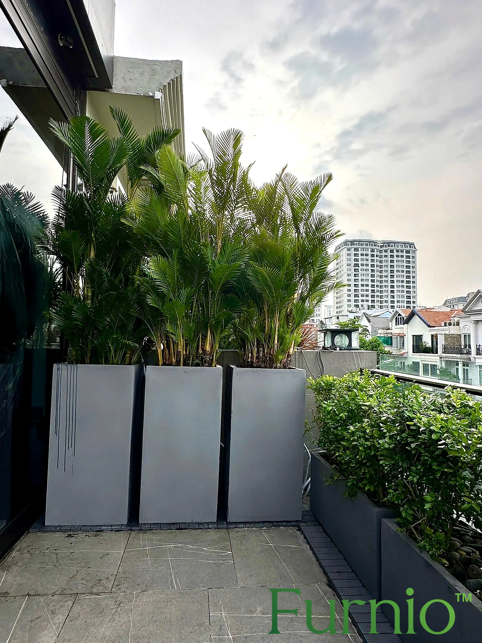Chậu composite cao trồng cau xanh trên ban công villa lúc nắng chiều