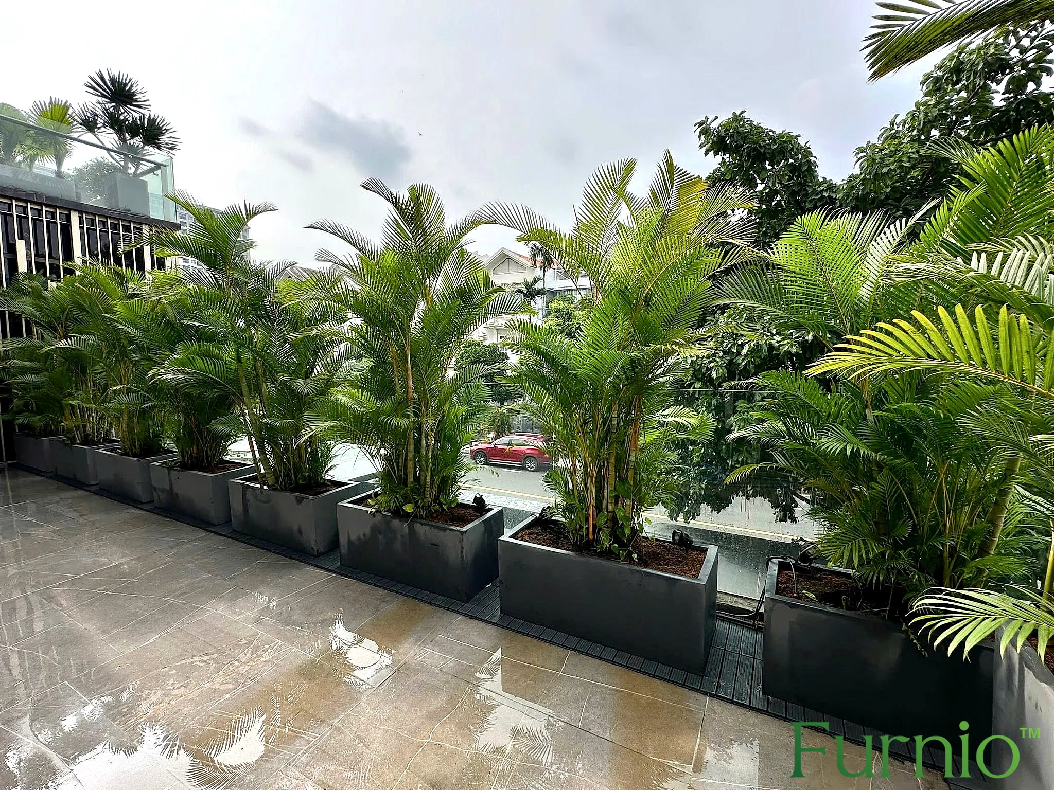 Chậu composite Furnio tại công trình
