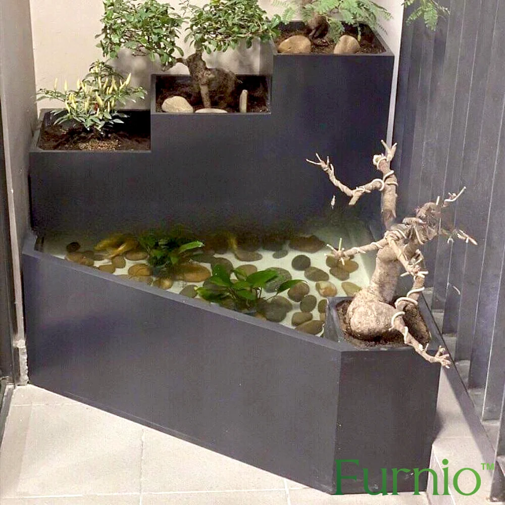 Hồ cá composite bậc thang kết hợp bonsai trong nhà