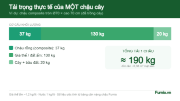 Cơ cấu tải trọng thực tế của một chậu cây composite: chậu, đất, cây